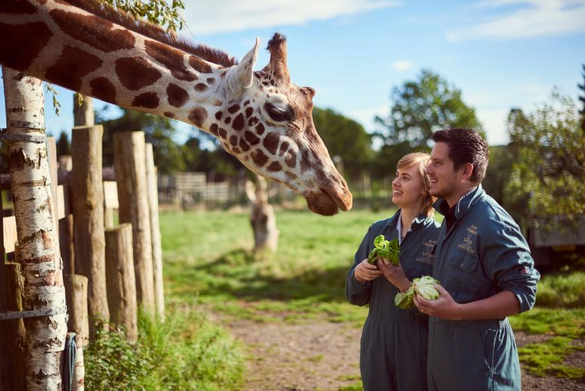 blair drummond safari park tickets 2 for 1